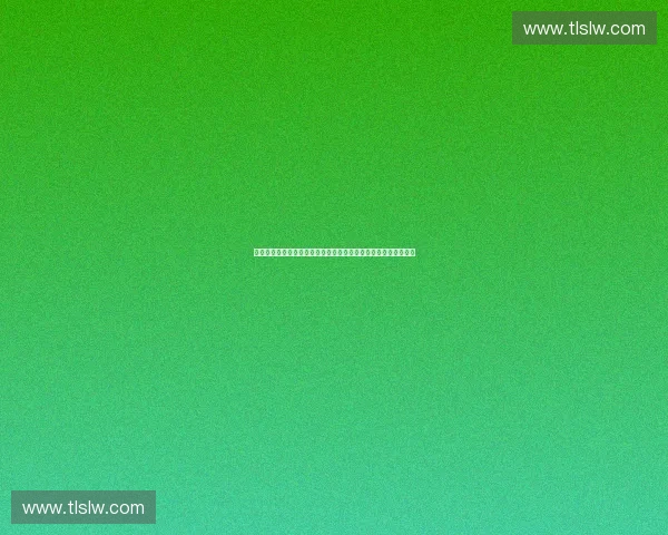 大型公共场所突发事件人员疏散实施方案优化与安全保障机制研究