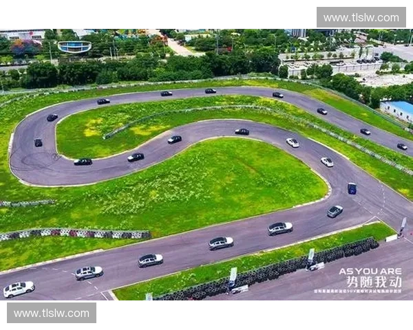 巅峰对决挑战赛全面解析与策略指南